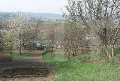 Teren de 8657 mp, în Manolești