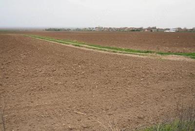 Teren de 10000 mp, în Umbrărești - 2