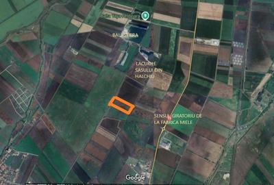 Teren agricol intravilan de 35000 mp, în Hălchiu - 8