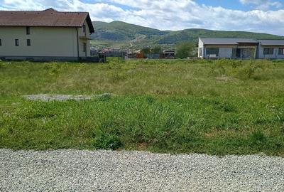 Teren de 437 mp, în Micești - 3