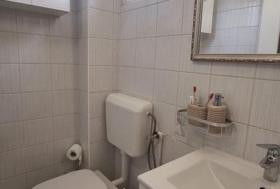 Apartament cu 2 camere semidecomandat, mobilat în Parcul Carol - 10
