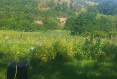 Casă cu 3 camere în Bărăi - 2
