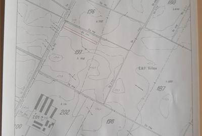 Teren de 2500 mp, în Sud - 2