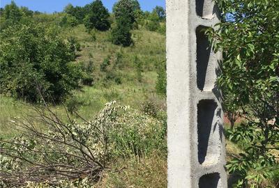 Teren de 4364 mp, în Șerpeni - 2