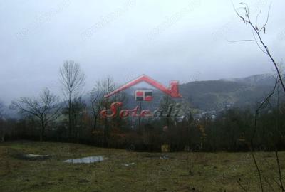 Teren de 2656 mp, în Drăgăneasa