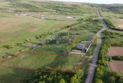 Teren Construcții intravilan de 3916 mp, în Herneacova - 1