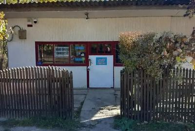 Spațiu comercial, de 50 mp, în Valea Glodului - 1