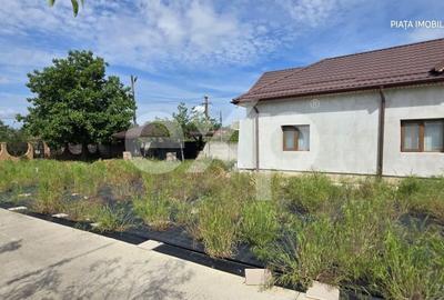 Casă cu 10 camere cu Teren 9800 Mp în Văcărești - 3