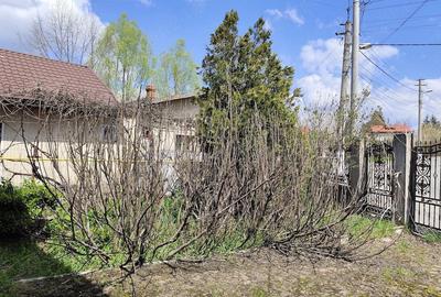 Casă cu Teren 1073 Mp în Voila - 8