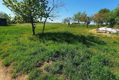 Teren de 3960 mp, în Oncea - 1