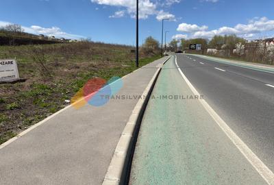 Teren Construcții extravilan de 2900 mp, în Iris - 9