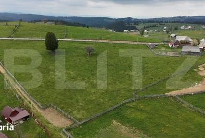 Teren de 1500 mp, în Măguri - 4