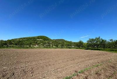 Teren de 1500 mp, în Bejan - 2