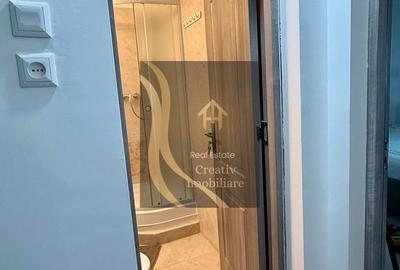 Garsonieră, mobilată în Dristor - 12