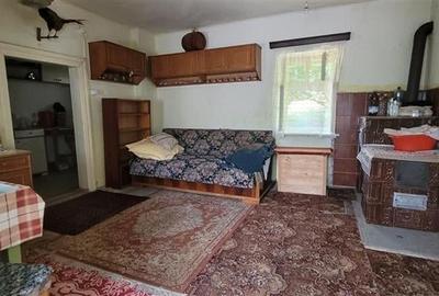Casă individuală cu 6 camere cu Teren 19300 Mp în Apoldu de Jos - 10
