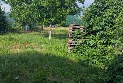 Casă individuală cu 2 camere cu Canalizare în Central - 24