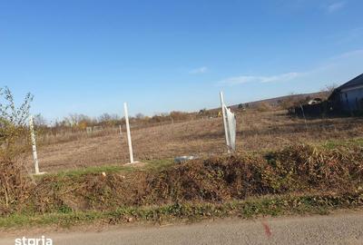 Teren de 8071 mp, în Lipănești - 4