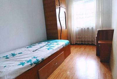 Apartament cu 3 camere decomandat în Paltiniș - 5