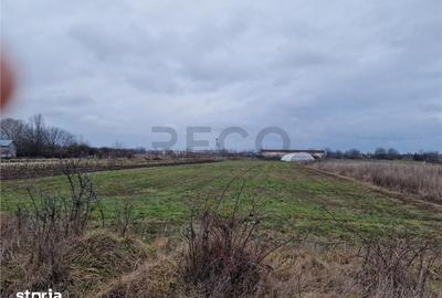 Teren de 1167 mp, în Borș - 4