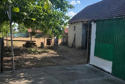 Casă cu Teren 730 Mp în Lovrin - 4