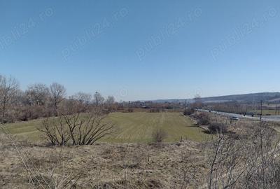 Teren de 20000 mp, în Valea Ursului (Tâmna) - 4