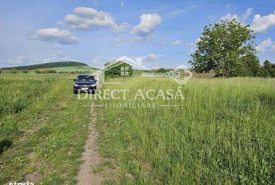 Spațiu comercial, în Ernei - 7