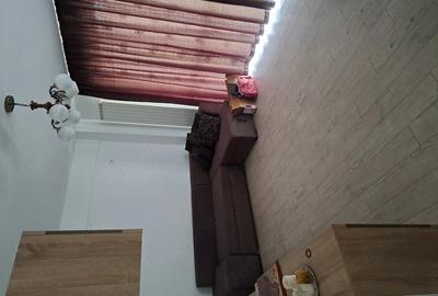 Apartament cu 2 camere decomandat în Roșu
