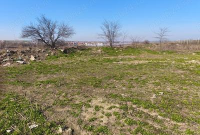 Teren de 491 mp, în Palazu Mare - 4
