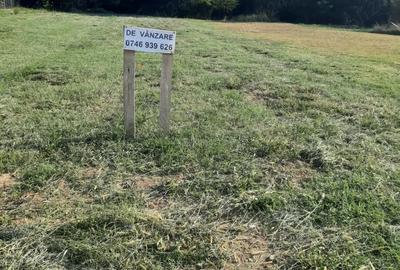 Teren de 2600 mp, în Băbeni - 6