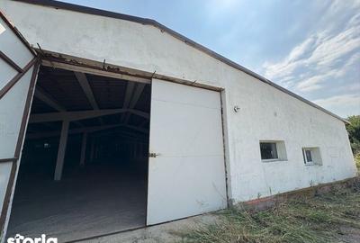 Spațiu comercial, de 200 mp, în Gruiu - 8