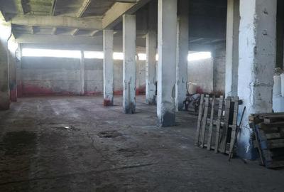 Spațiu industrial, de 171,937 mp, în Urleasca - 8