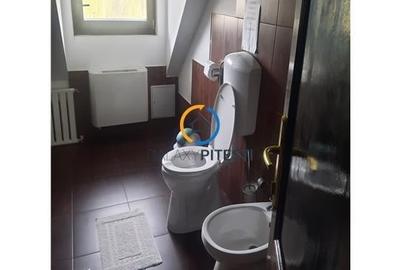 Casă individuală cu 9 camere cu Teren 3000 Mp în Partizani - 13
