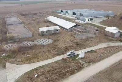 Teren de 16275 mp, în Crizbav - 3
