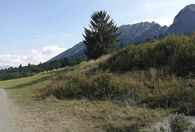 Teren de 4880 mp, în Plaiul Foii - 1