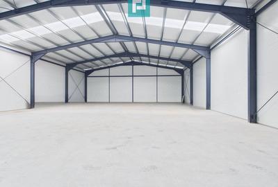 Spațiu comercial, de 590 mp, în Giarmata