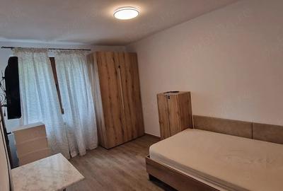 Garsonieră nedecomandată în Ozana - 5