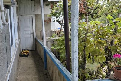 Casă cu 3 camere cu Teren 3000 Mp în Deleni