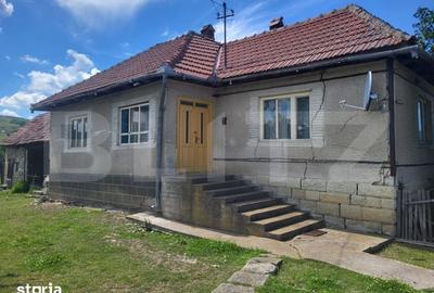 Casă cu 3 camere cu Teren 4200 Mp în Mihai Viteazu - 3