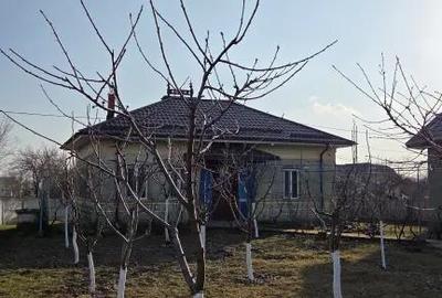 Casă cu 2 camere cu Teren 1500 Mp în Urzica - 10