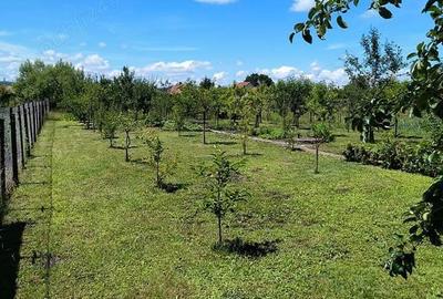 Casă cu 3 camere cu Teren 1025 Mp în Reghin - 3