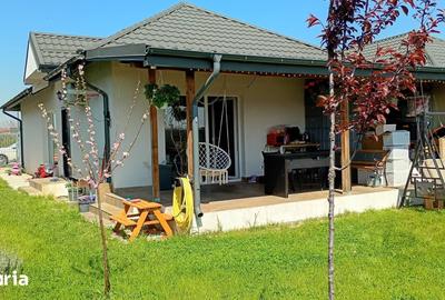 Casă cu 3 camere cu Teren 300 Mp în Cornetu - 8