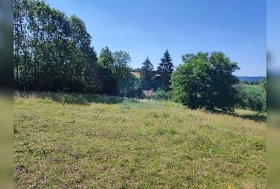 Teren Construcții intravilan de 72000 mp, în Topa Mică - 8