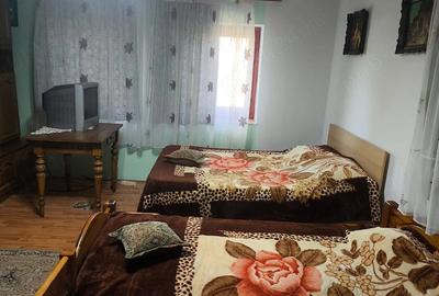 Casă cu 7 camere cu Teren 2118 Mp în Cenad - 9