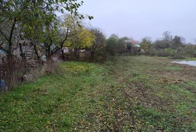 Teren de 3000 mp, în Petrești - 8
