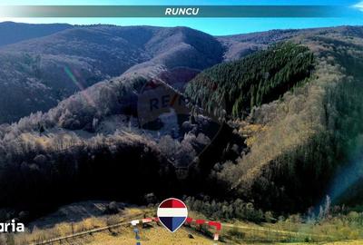 Teren de 16466 mp, în Desești - 10
