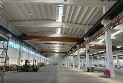 Spațiu industrial, de 20,000 mp, în Exterior Sud - 5