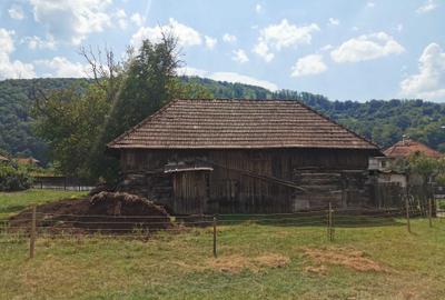 Casă cu 2 camere în Negreni - 2