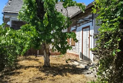 Casă cu 3 camere în Chesinț - 3