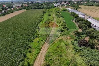 Teren Construcții intravilan de 5029 mp, în Mihai Bravu