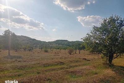 Teren de 15000 mp, în Filipeștii de Pădure